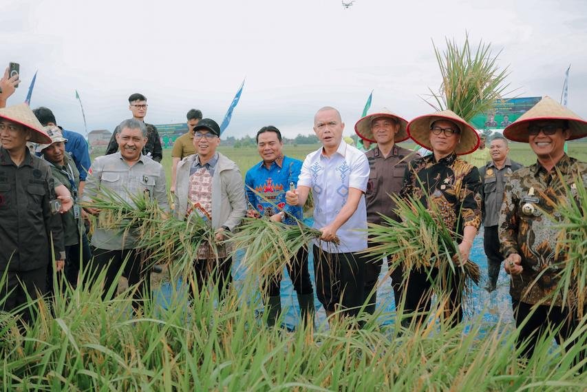 Panen Raya dan Tanam Bersama Petani Mitra Adhyaksa di Lampung Tengah