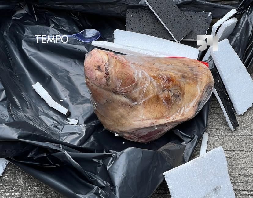 Teror Jurnalis Tempo Makin Brutal, Ancaman Menyasar Keluarga