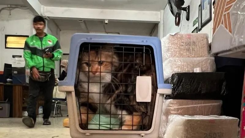 KAI Logistik Buka Layanan Pengiriman Hewan Peliharaan Saat Libur Lebaran