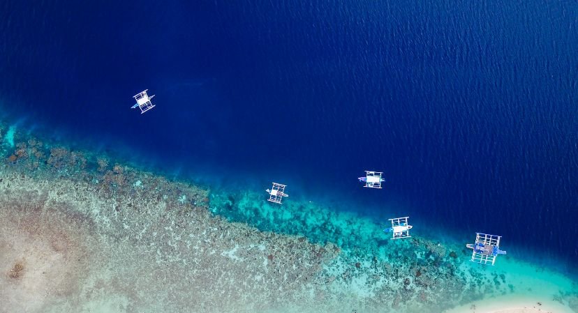 Laut Asia-Pasifik Semakin Panas, Ilmuwan Peringatkan Dunia Sedang Krisis