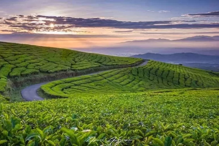 Lautan Awan dari Puncak Gunung Dempo Pagar Alam, Bikin Hati Adem Bestie!