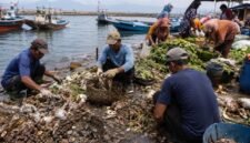 Ilustrasi nelayan dan pedagang pasar mengumpulkan sampah hasil laut tangkapan nelayan dan sampah organik pasar. 