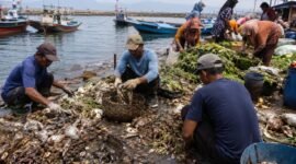 Ilustrasi nelayan dan pedagang pasar mengumpulkan sampah hasil laut tangkapan nelayan dan sampah organik pasar. 