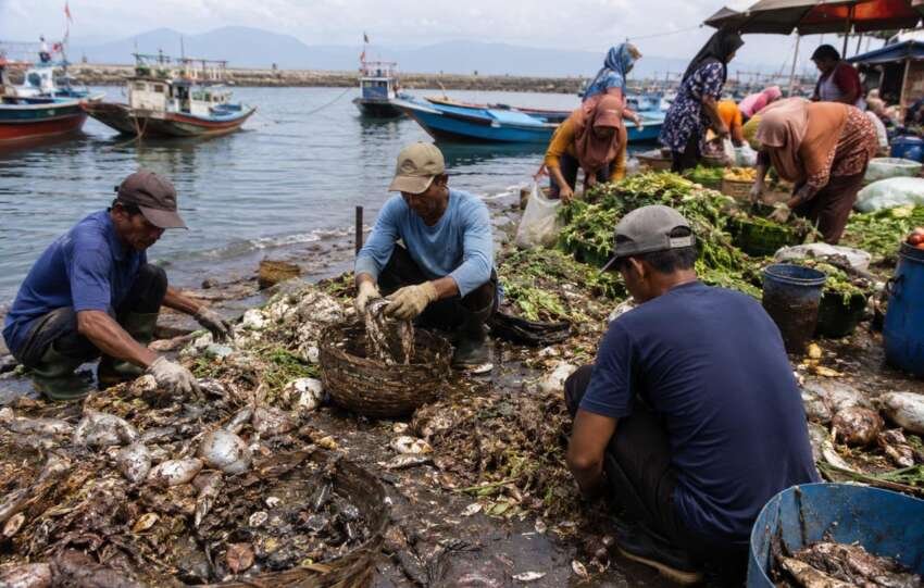 Ilustrasi nelayan dan pedagang pasar mengumpulkan sampah hasil laut tangkapan nelayan dan sampah organik pasar.