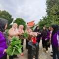 Urban Farming Mewarnai Bandar Lampung, Dimulai dari 80 KWT