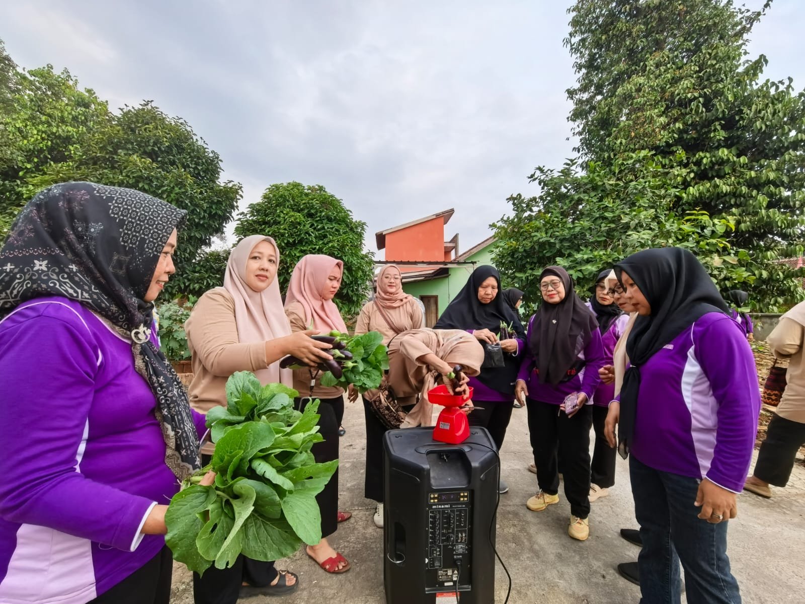 KWT Kelurahan Labuhan Ratu Raya, salah satu KWT sukses terapkan urban farming.(foto: Notis)